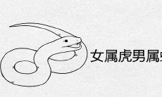 女属虎男属蛇能过一辈子吗