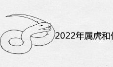 2013的蛇和2022虎合不合