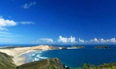 为何属鼠的不怕本命年 属鼠人不怕本命年有什么说法