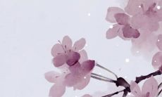 2022年12月26日出生女孩八字看命,根据命理起名怎么取