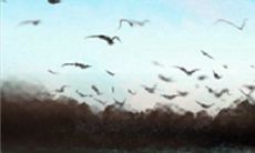 腊月二十九是什么日子，有哪些习俗？