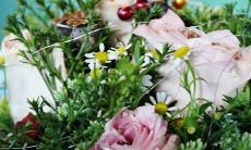 夫妻相差12岁同属相好不好 在一起结婚的后果如何