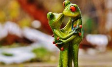 男羊和女猴的属相适合结婚吗 在一起婚配好不好