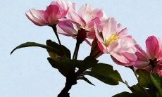 2023年3月1日入宅合适吗 今日宜忌查询