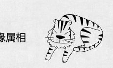 虎女的正缘属相