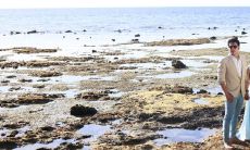 属虎找了属蛇情人婚姻结局怎么样