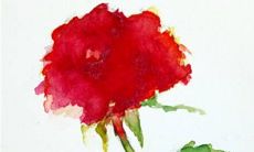 2023年2月27日是适合入宅的吉日吗 这天黄历宜忌