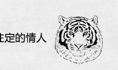 属虎女的命中注定的情人