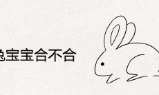 属马生兔宝宝合不合