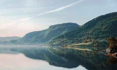 老鼠的婚姻运势怎么样 鼠人如何看待婚姻