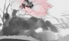 2023年新历2月入宅最准老黄历 搬家最旺吉日查询