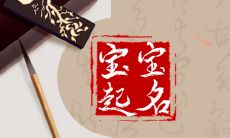 和过年有关的小名男孩 根据出生节日来起小名