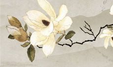 2023年2月23日宜入宅吗 是黄道吉日吗