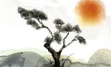 十二生肖2023兔年1月份入宅最旺的日子 黄道吉日查询