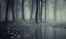 无意中捡钱是好事吗 ⁮倒霉怎么破