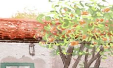 十二星座女生的物质体现