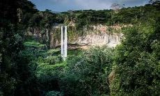 属龙和属鼠的八字合不合