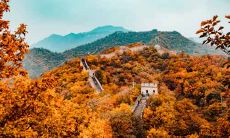 属鼠人2020年11月运势运程 属鼠人2020年11月运势好不好