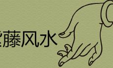 紫藤风水禁忌有哪些 是风水树吗