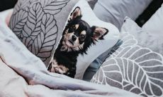 枕头要剪坏才能扔吗 活人的怎么扔