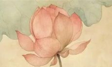 2022年12月23日宜入宅吗 乔迁吉不吉利