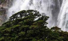 2001年属蛇的人2021年结婚适合吗