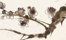 2022年12月20日适合入住吗 是入宅吉日吗