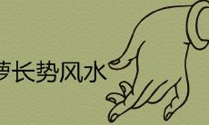 绿萝垂下来破财是真的吗 爬藤有啥风水说法