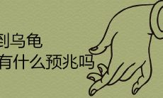 捡到乌龟有什么预兆吗 能不能带回家