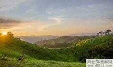 生肖属鼠和属鸡人2022年婚姻运势好吗