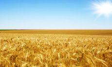 2023兔年春节出生的人命怎么样 太岁当头运势低迷