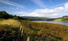 正月初一出生的男孩命硬克谁2023年 孤克父母不利亲人