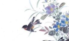 洋气顺口的乳名女孩 最新上佳小名大全