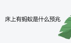 床上有蚂蚁是什么预兆 是发财的好兆头吗