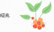 家中花草旺的征兆