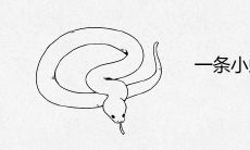一条小蛇进家里好不好 代表什么寓意