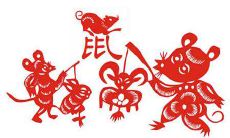 属鼠人2022年下半年运势及运程如何