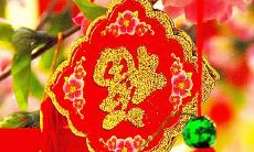 什么生肖天生有福