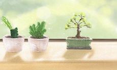 那些超重视朋友的生肖