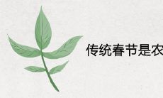 传统春节是农历几月几日 历史由来是什么
