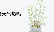 2021年8月份天气热吗 下半年气候变化