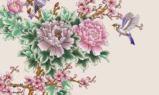 春节家里放什么盆景植物好 金桔寓意财源滚滚