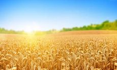 戚永莲姓名评分87分