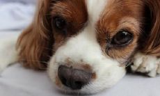 俞秋宾姓名评分99分