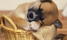 钱鸣佳姓名评分72分