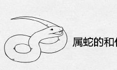 属蛇的和什么属相最配