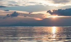 属狗女比属虎男大四岁好不好 适合做夫妻吗