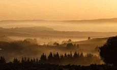 20年属鼠人一生几个劫,工作升高难