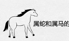 属蛇和属马的能过一辈子吗