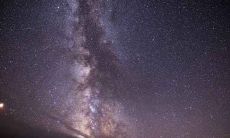 属鼠该从事的职业 从事什么行业容易成功